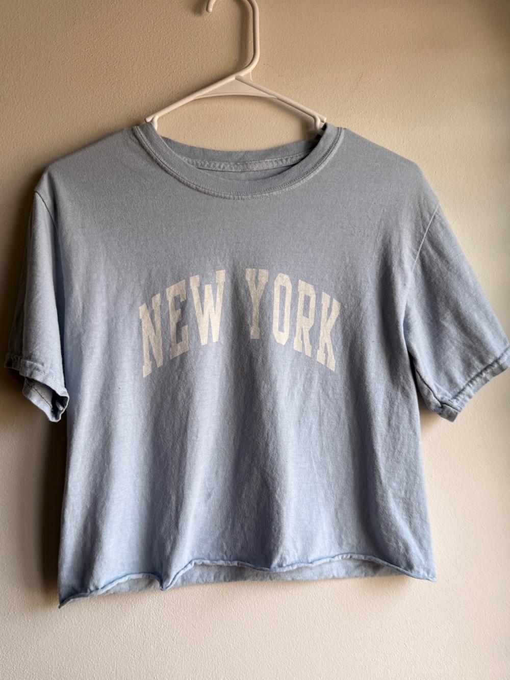 J. Galt Brandy Melville New York Graphic Tee Baby Blue One Size Cropped